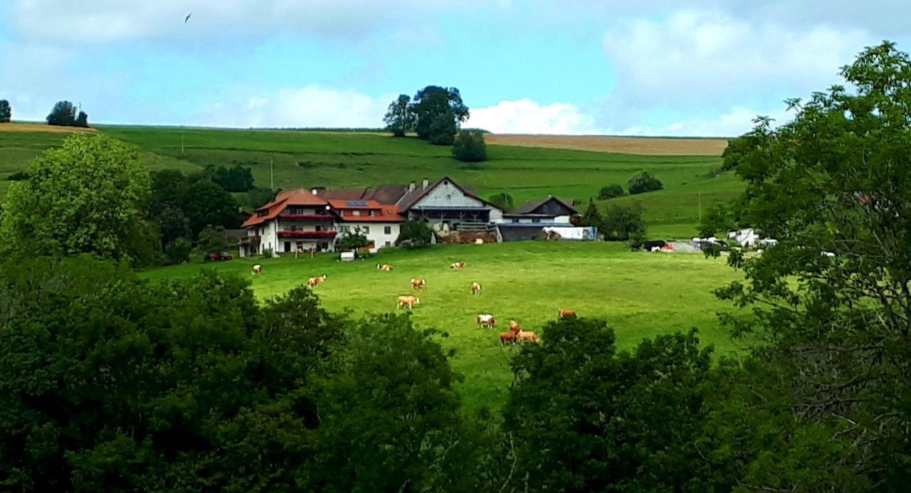 Ferienwohnung Eckert Weilheim Экстерьер фото